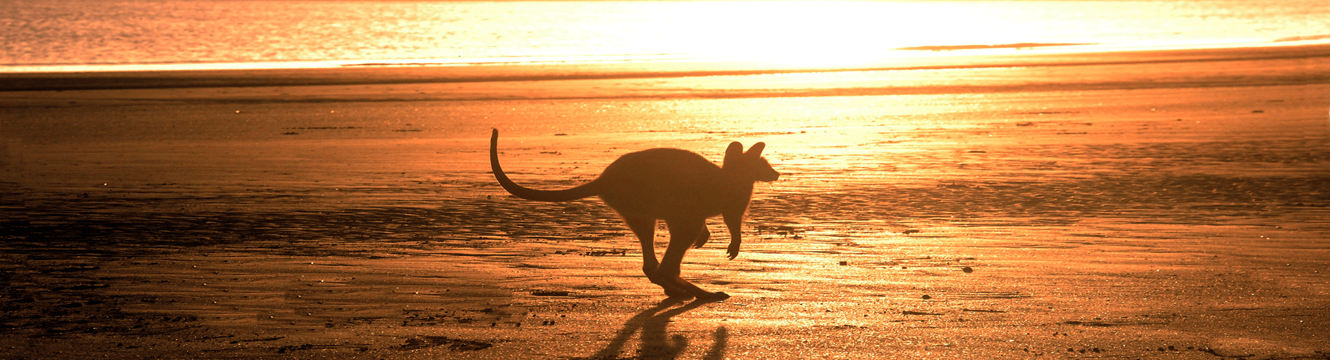טיסות אל על למלברון