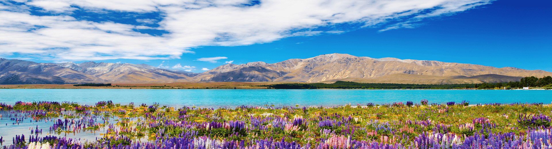טיסות אל על לאוקלנד