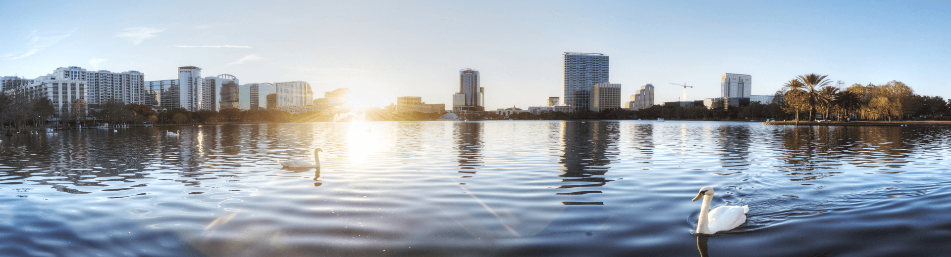 טיסות אל על לאורלנדו