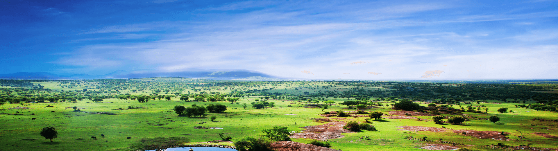 מבצעי לילה לבן