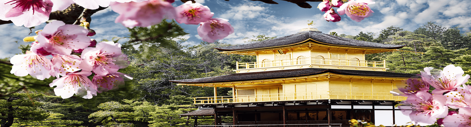 טיסות אל על לטוקיו