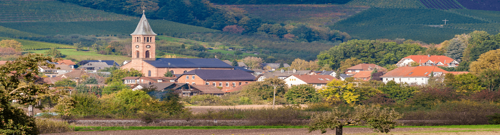 חבילות  נופש ליער השחור