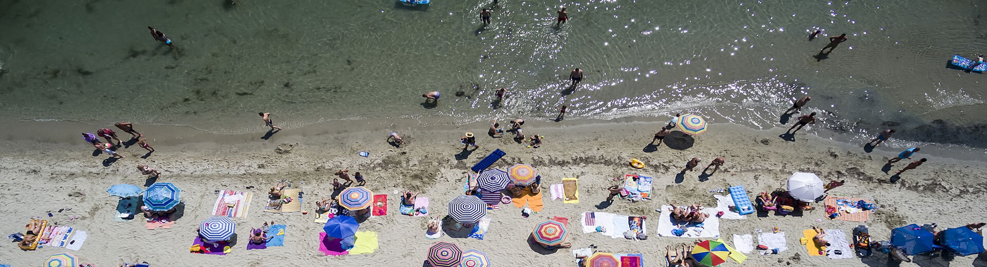 דילים לדורס