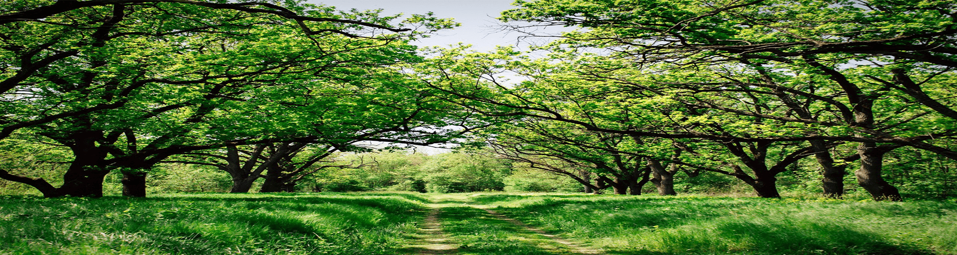 טיסות לזפורוז'יה