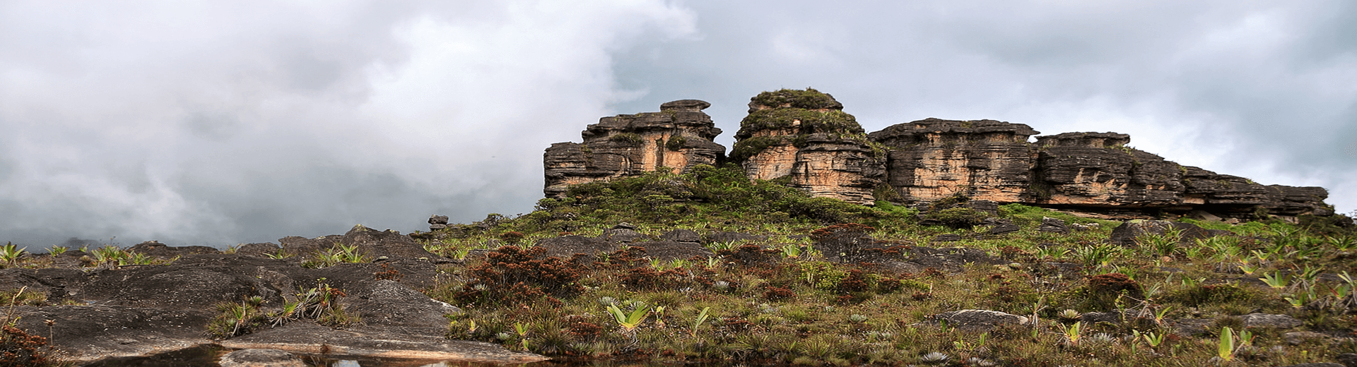 טיסות לקראקס